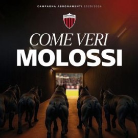 ABBONAMENTO 2025 - 2026 NOCERINA