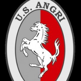 U.S. ANGRI Vs CASTELPOTO