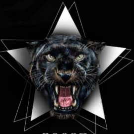 FRATTESE Vs REAL FORIO